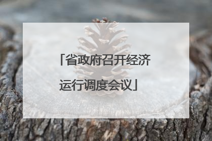 省政府召开经济运行调度会议