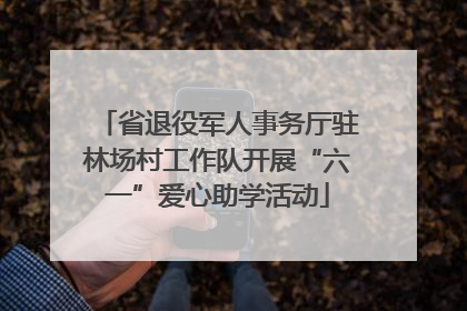 省退役军人事务厅驻林场村工作队开展“六一”爱心助学活动