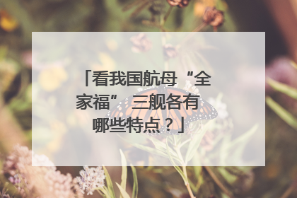 看我国航母“全家福” 三舰各有哪些特点？