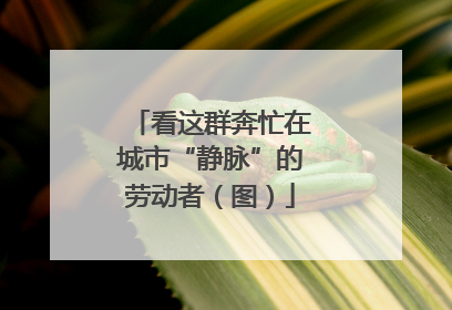 看这群奔忙在城市“静脉”的劳动者（图）