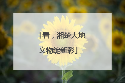 看，湘楚大地文物绽新彩