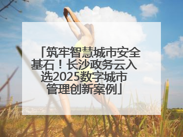 筑牢智慧城市安全基石！长沙政务云入选2025数字城市管理创新案例