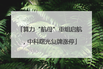 算力“航母”重组启航，中科曙光复牌涨停