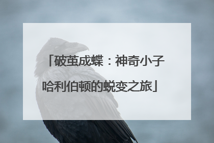破茧成蝶：神奇小子哈利伯顿的蜕变之旅