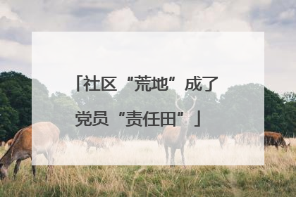 社区“荒地”成了党员“责任田”