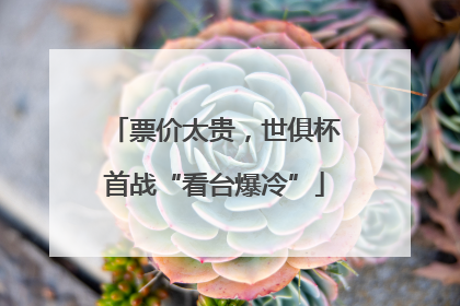 票价太贵，世俱杯首战“看台爆冷”