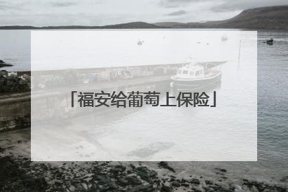 福安给葡萄上保险