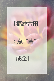 福建古田：点“菌”成金