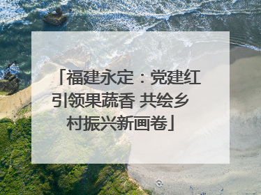福建永定：党建红引领果蔬香 共绘乡村振兴新画卷