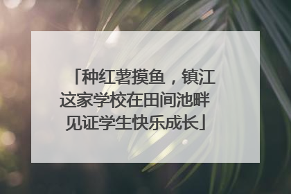 种红薯摸鱼，镇江这家学校在田间池畔见证学生快乐成长