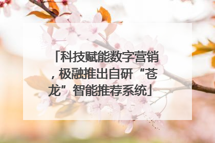 科技赋能数字营销，极融推出自研“苍龙”智能推荐系统