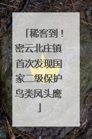 稀客到！密云北庄镇首次发现国家二级保护鸟类凤头鹰