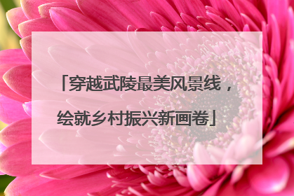穿越武陵最美风景线，绘就乡村振兴新画卷
