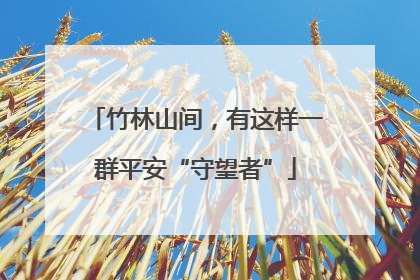 竹林山间，有这样一群平安“守望者”
