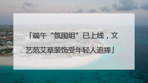 端午“氛围组”已上线，文艺范艾草装饰受年轻人追捧