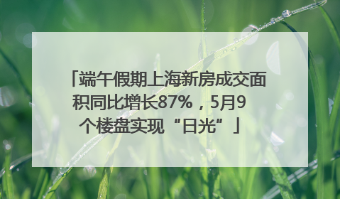 端午假期上海新房成交面积同比增长87%，5月9个楼盘实现“日光”