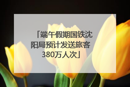 端午假期国铁沈阳局预计发送旅客380万人次
