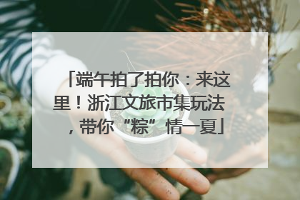 端午拍了拍你：来这里！浙江文旅市集玩法，带你“粽”情一夏