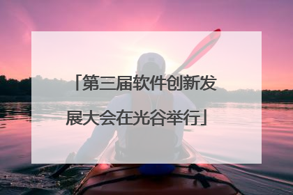 第三届软件创新发展大会在光谷举行