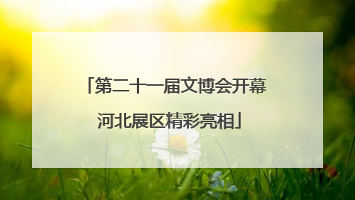 第二十一届文博会开幕 河北展区精彩亮相