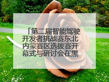 第二届智能驾驶开发者挑战赛东北内蒙赛区选拔赛开幕式与研讨会在黑龙江农业工程职业学院成功举行