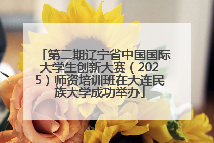 第二期辽宁省中国国际大学生创新大赛（2025）师资培训班在大连民族大学成功举办