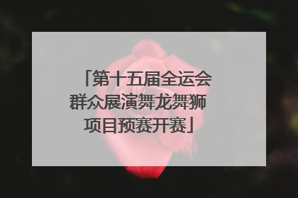第十五届全运会群众展演舞龙舞狮项目预赛开赛