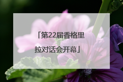 第22届香格里拉对话会开幕