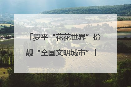 罗平“花花世界”扮靓“全国文明城市”
