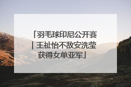 羽毛球印尼公开赛｜王祉怡不敌安洗莹 获得女单亚军