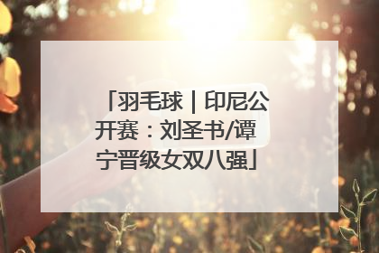 羽毛球｜印尼公开赛：刘圣书/谭宁晋级女双八强