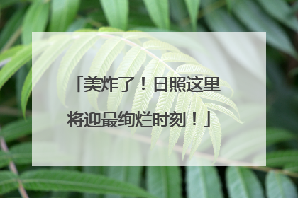 美炸了！日照这里将迎最绚烂时刻！