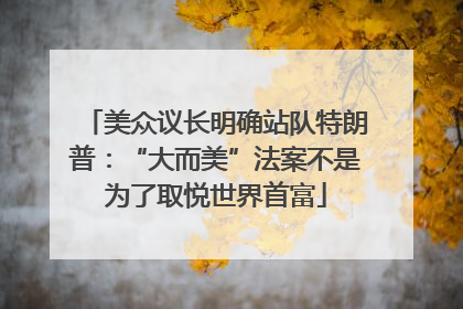 美众议长明确站队特朗普：“大而美”法案不是为了取悦世界首富
