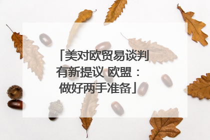 美对欧贸易谈判有新提议 欧盟：做好两手准备