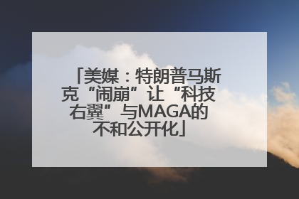 美媒：特朗普马斯克“闹崩”让“科技右翼”与MAGA的不和公开化