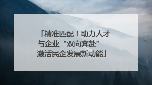 精准匹配！助力人才与企业“双向奔赴” 激活民企发展新动能