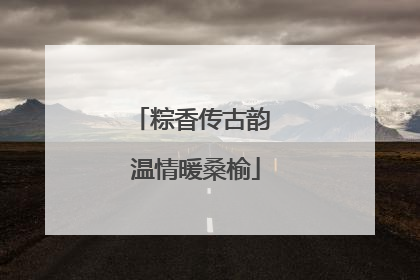 粽香传古韵 温情暖桑榆