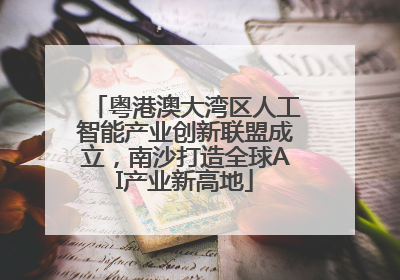 粤港澳大湾区人工智能产业创新联盟成立，南沙打造全球AI产业新高地