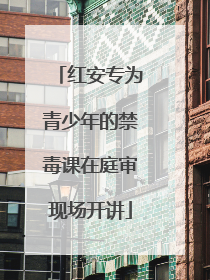 红安专为青少年的禁毒课在庭审现场开讲