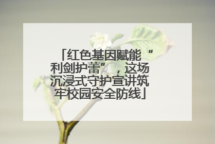 红色基因赋能“利剑护蕾”，这场沉浸式守护宣讲筑牢校园安全防线