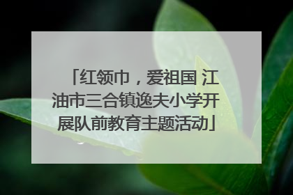 红领巾，爱祖国 江油市三合镇逸夫小学开展队前教育主题活动