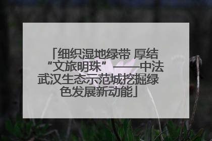 细织湿地绿带 厚结“文旅明珠”——中法武汉生态示范城挖掘绿色发展新动能
