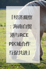 经济观察：海南自贸港与RCEP区域合作互促共进