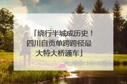 绕行半城成历史！四川自贡单跨跨径最大特大桥通车