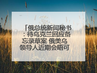 俄总统新闻秘书：待乌克兰回应备忘录草案 俄美乌领导人近期会晤可能性小