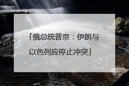 俄总统普京：伊朗与以色列应停止冲突
