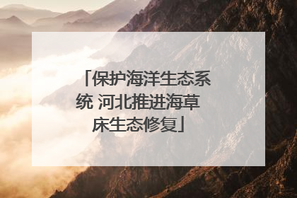 保护海洋生态系统 河北推进海草床生态修复