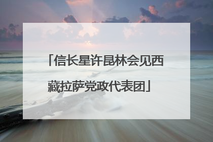 信长星许昆林会见西藏拉萨党政代表团