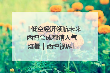 低空经济领航未来 西博会成都馆人气爆棚｜西博视界