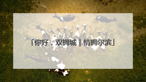 你好，双拥城｜情拥尔滨